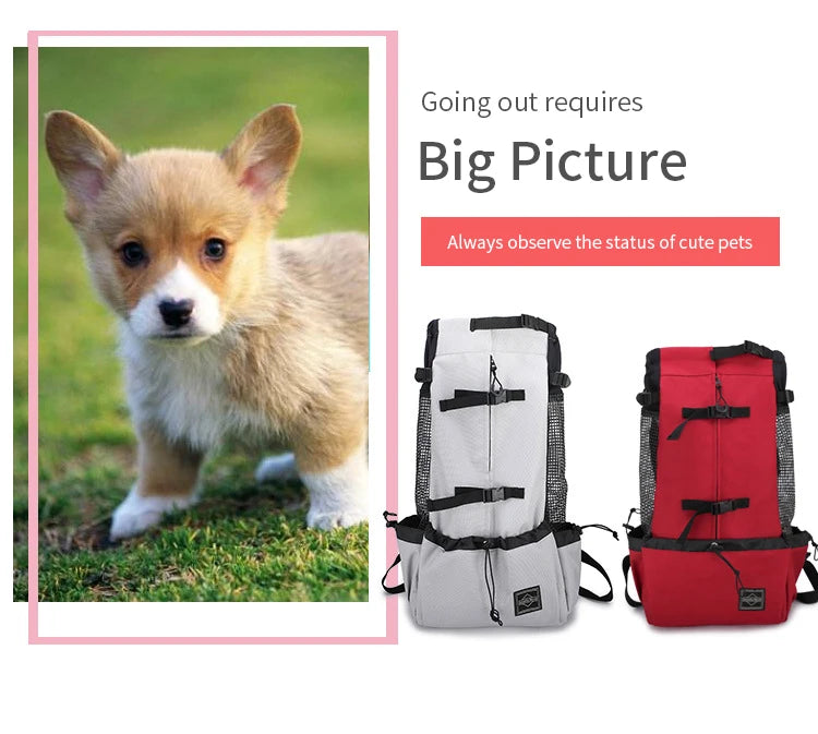 Pet Back Bag