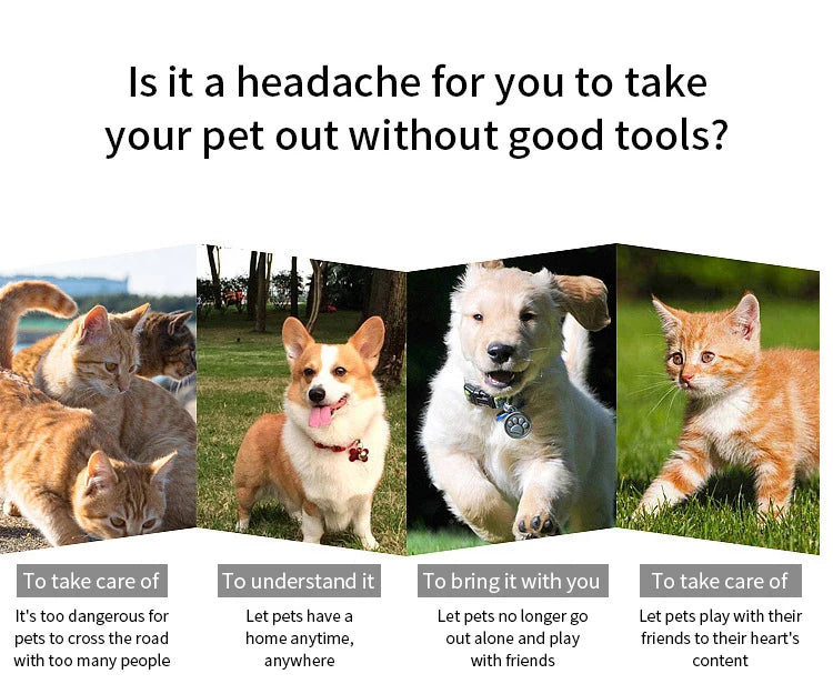 Pet Back Bag
