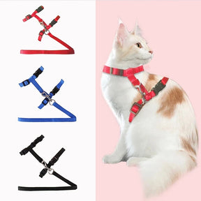 Cat Harness Belt