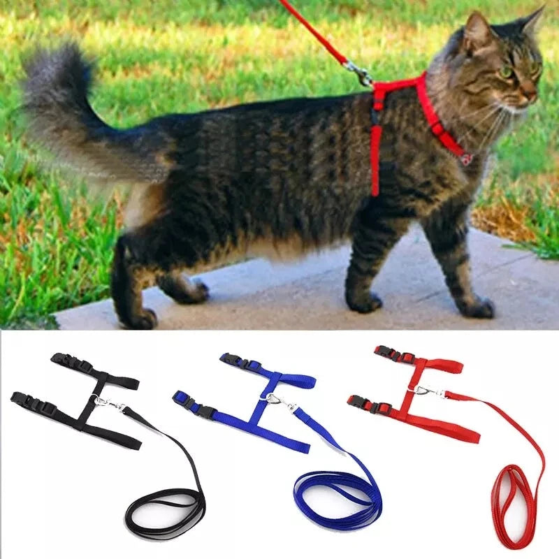 Cat Harness Belt