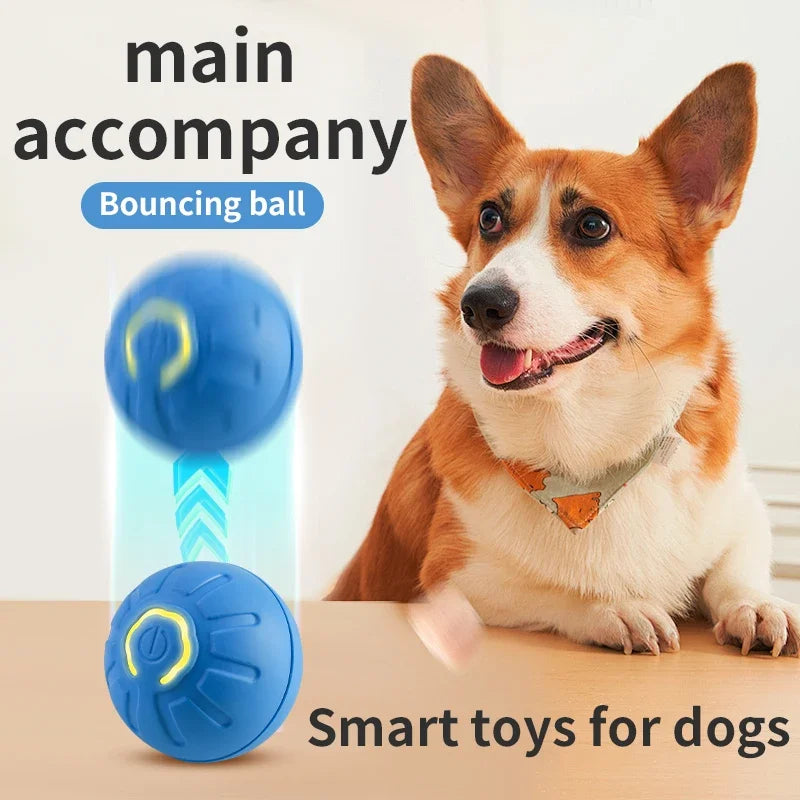 Smart Dog Toy Ball Electronic