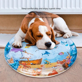 Summer Water Sensory Pet Mat