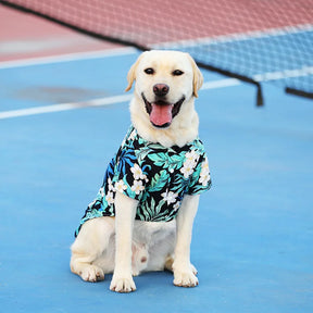 Beach Pet Shirts