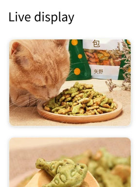 Catnip cookie for cat treats