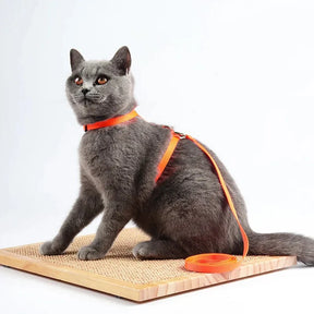 Cat Harness Belt