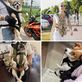 Pet Cruise Bag