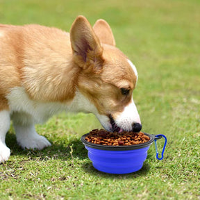 Silicone Dog Feeder Bowl